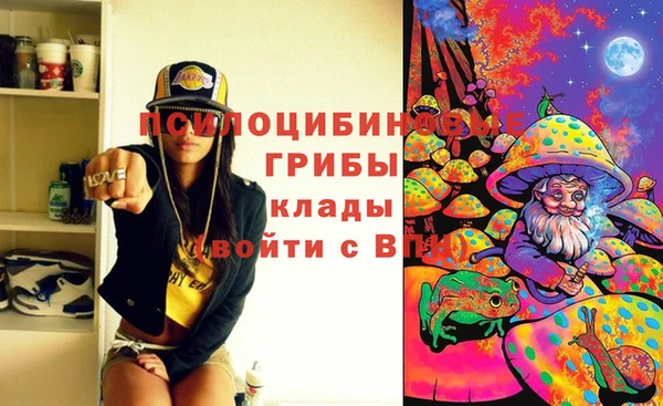 прущие грибы Нея