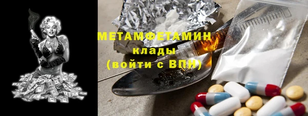 прущие грибы Нея