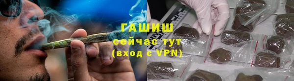 прущие грибы Нея