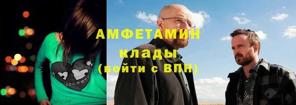 прущие грибы Нея