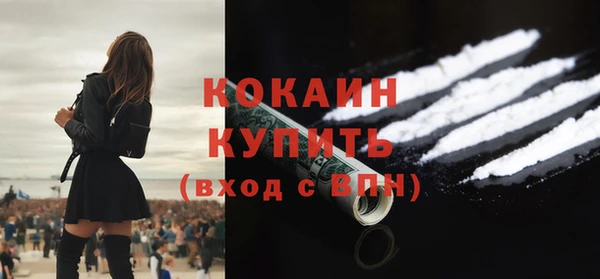 прущие грибы Нея
