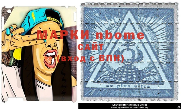 прущие грибы Нея