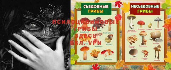 прущие грибы Нея