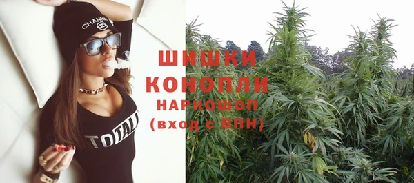 прущие грибы Нея
