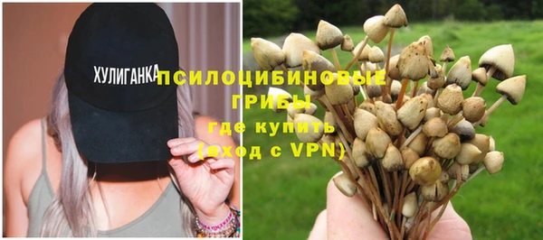 мдпв Нефтегорск