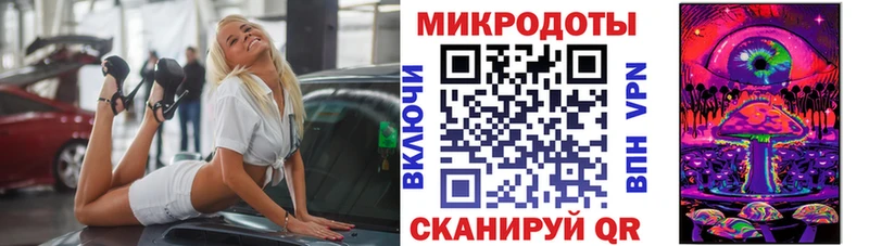 Купить  Калининец  Псилоцибиновые грибы Psilocybe 