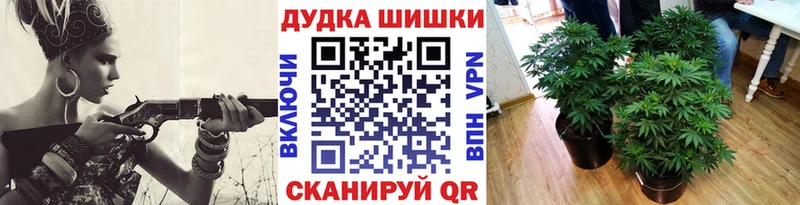 Конопля индика  Купить  Калининец 