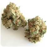 Шишки "White Widow"  (Белая вдова)  Гидропоника -  Бошка VHQ в Калининце
